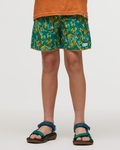 Tucan Verde